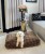 FullSizeRender(11).JPG